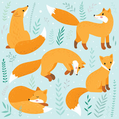 Fototapeta premium cute fox icon set