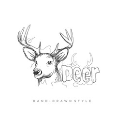 vector deer head in an abstract hand drawn style, illustration of a black and white animal