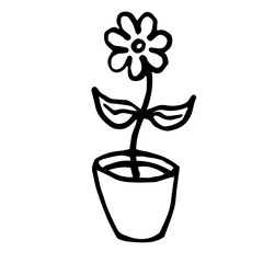 hand-drawn indoor flower with leaves