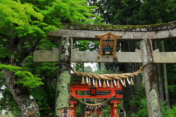 世界遺産　平泉　夏の達谷窟毘沙門堂