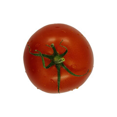 Tomato isolated on a white background.