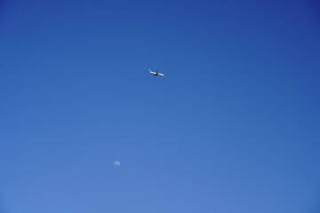 東京の空に月と飛行機