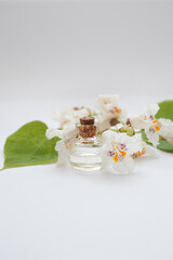 Obraz na płótnie Canvas Catalpa essential oil bottle with Catalpa fresh flowers isolated white