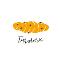 Turmeric root vegetable hand drawn illustration isolated on white background.