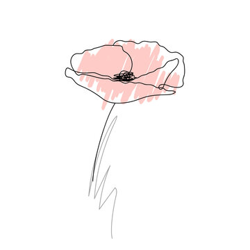 Poppies flower continuous line drawing.