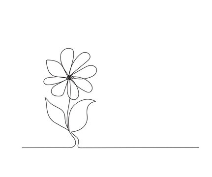 Flowers in black on a white background. Doodle. Handwriting.