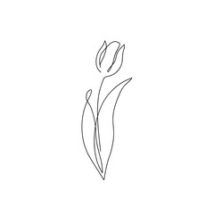 Tulip flower continuous line drawing. Abstract minimal tulip. Editable vector line.