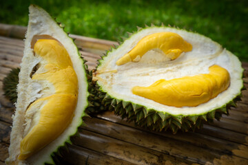 Durian, oval-shaped, large, hard-shelled lobes Hard thorns all over the fruit The meat covering the seeds has a sweet taste. It has many varieties.