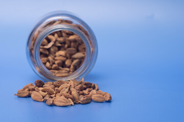 Cardamom herbs over blue background