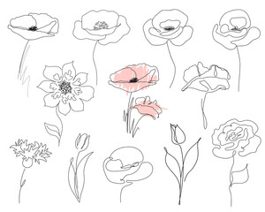 Obraz premium Flowers in black on a white background. Doodle. Handwriting.