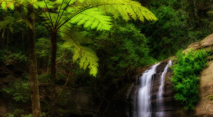 Waterfall in Buderim forest park