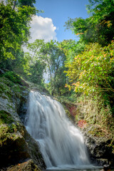 waterfall in the woods