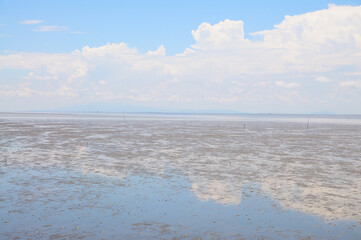Mudflats at Low Tide on a Fine Day