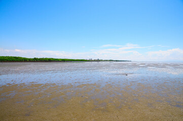 Mudflats at Low Tide on a Fine Day