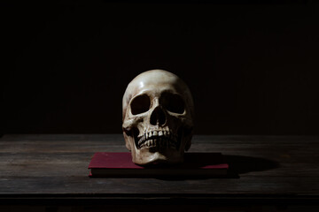 Still life of human skull that died for a long times ,concept of horror or thriller movies of scary...