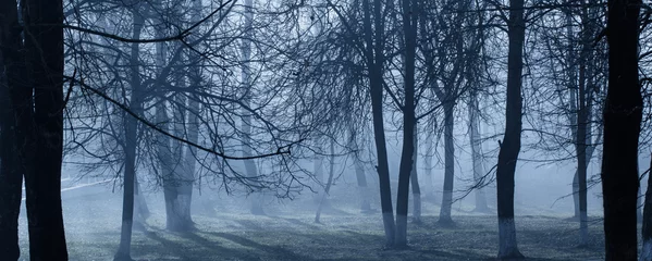 Foto auf Leinwand autumn park with mystery fog © Maya Kruchancova