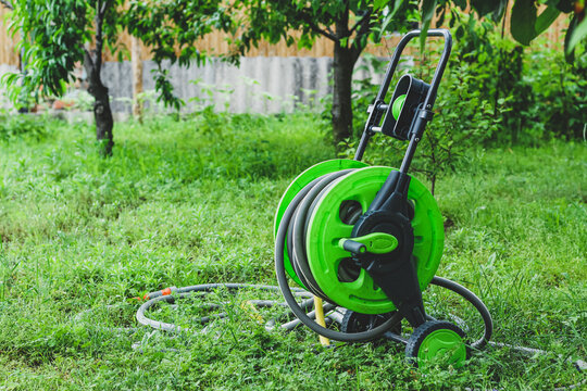 A green reel on wheels with a hose for watering plants stands in the garden.