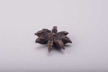 Star anise isolated over grey background