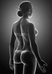 Naklejka premium 3d rendered illustration of the female body