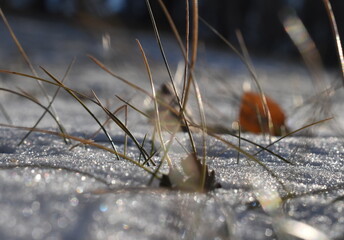 The sunny day on the white field in Sapporo Japan