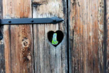Old wooden door of a toilet with heart shape	