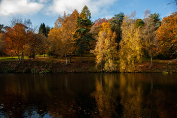 autumn landscape with lake