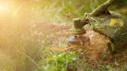 Trimmer mows grass close-up. Fishing line in motion and grass particles in air. Care of the lawn and the area near the house, summer cottage, landscape design, floristry, garden and crop. Copyspace