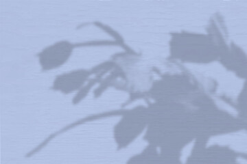 Summer background of plant shadows. Shadow of the Schlumbergera on the blue wall. Mockup