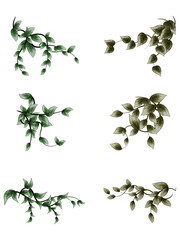 Vector realistic illustration set of tropical leaves and flowers isolated on white background. Highly detailed colorful plant collection. Botanical elements for cosmetics, spa, beauty care products