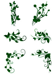 Vector realistic illustration set of tropical leaves and flowers isolated on white background. Highly detailed colorful plant collection. Botanical elements for cosmetics, spa, beauty care products