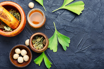 Ginkgo biloba in herbal medicine