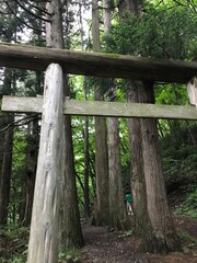森の鳥居