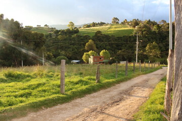 Paisaje con camino