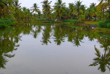 India South, Kerala, Nedungolam, Paravur Lake,  Kerala backwaters