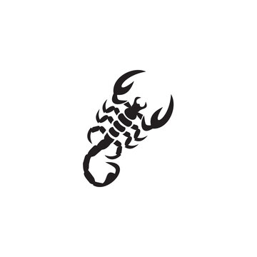 Scorpion logo design vector template