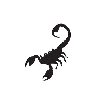 Scorpion logo design vector template