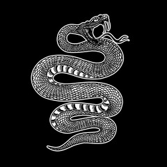 Illustration of poisonous snake  in engraving style. Design element for logo, label, emblem, sign, badge.