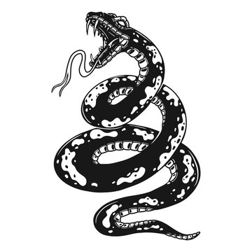 Illustration of poisonous snake  in engraving style. Design element for logo, label, emblem, sign, badge.