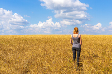 Naklejka na ściany i meble Tourist tween girl admiring picturesque rural landscape of golden ripe rye field and blue sky in summer sunny day. Travelling to clean places of Earth or beauty of nature discovering concept