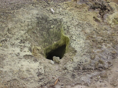 Sulpher Giezer Spout, Hells Gate Rotorua NZ