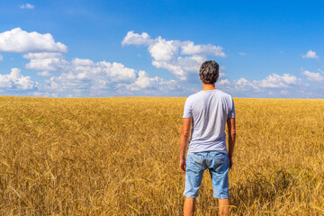 Adult tourist man admiring picturesque rural landscape of golden ripe rye field and blue sky in summer sunny day. Travelling to clean places of Earth or beauty of nature discovering concept
