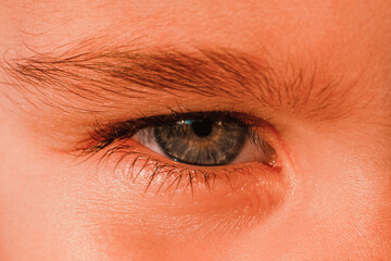 Obraz premium Little girl's eye close up. Eyes look of preschool children.