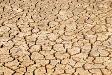 Dry cracked earth