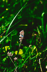 Processed with VSCO with g3 preset