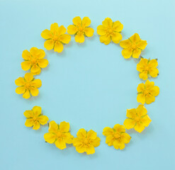 Round frame of yellow flowers on a blue background. Summer concept. Mockup, copy space