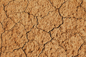 clay earth in cracks from a drought