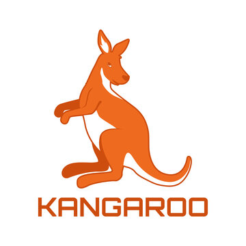 kangaroo logo isolated on white background. vector illustration