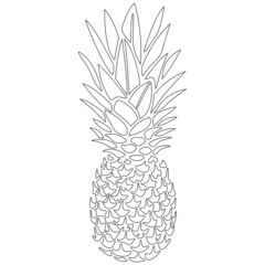 Pineapple sketch. Realistic silhouette. Design for greeting cards, coloring books, summer tropical drinks, summer fruits, healthy lifestyle, banner, poster, t-shirt print. Isolated vector