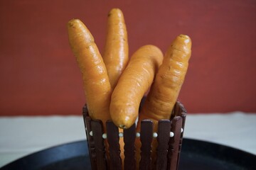 Carrot at the pen box 