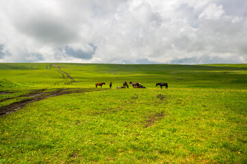Panoramic view of the Bermamyt Plateau